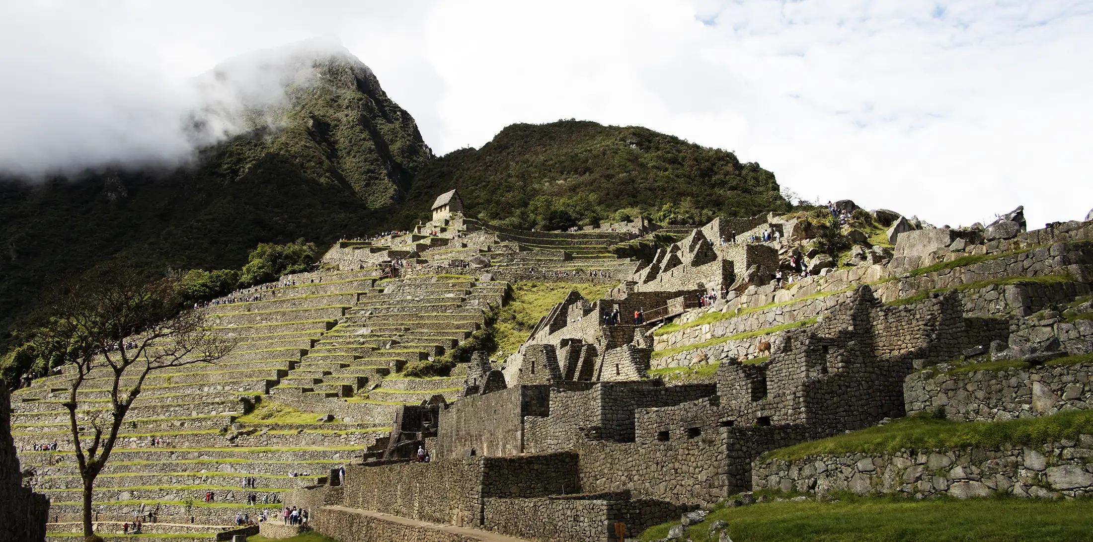 Machu Picchu citadel at sunrise, Tierras Vivas Inca Trail tour