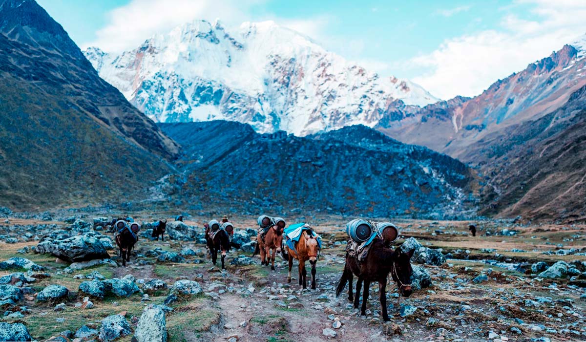 5 day Inca Trail