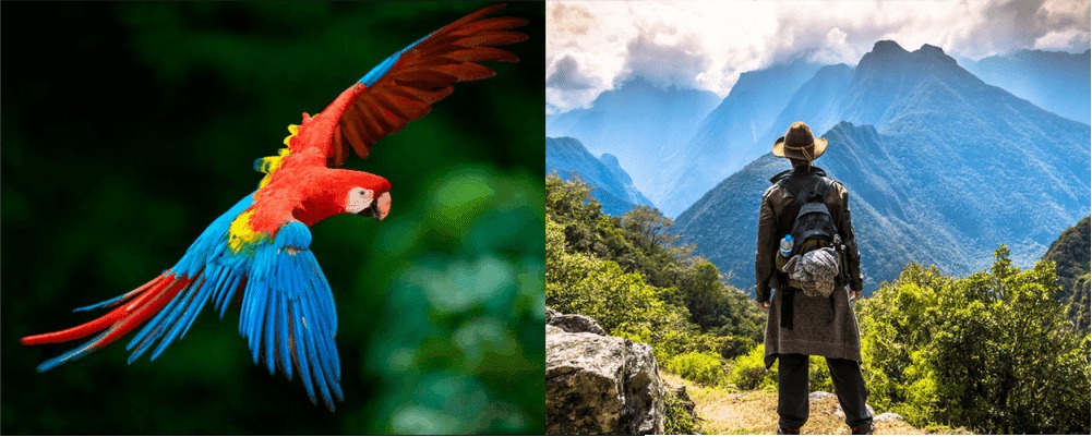 Amazon and Inca Trail tour