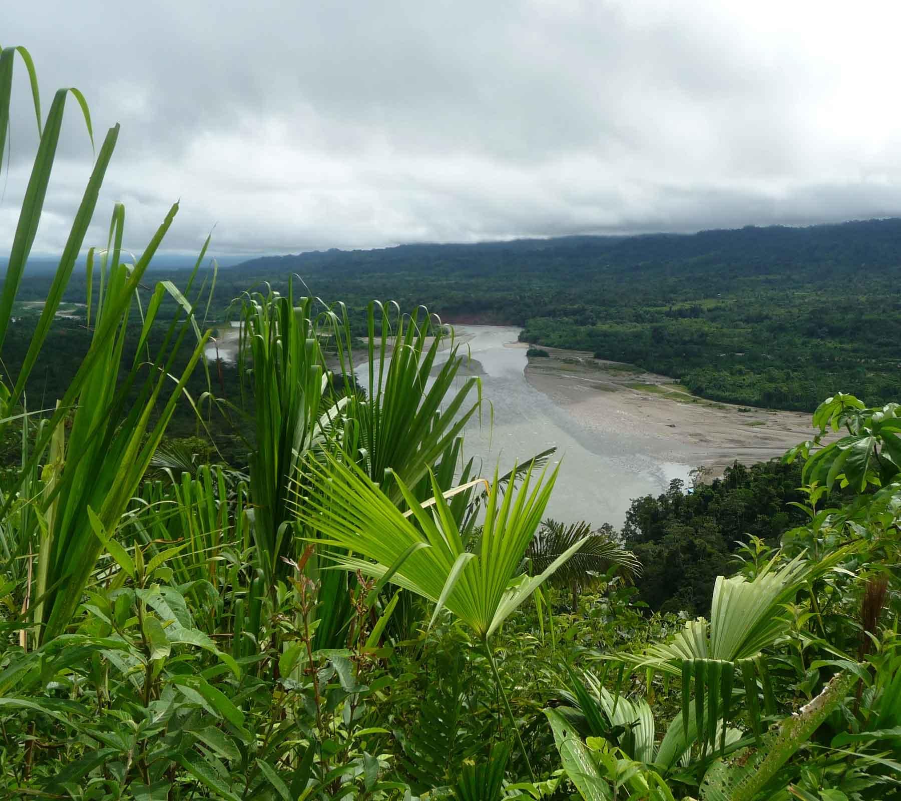 Amazon Jungle Tours