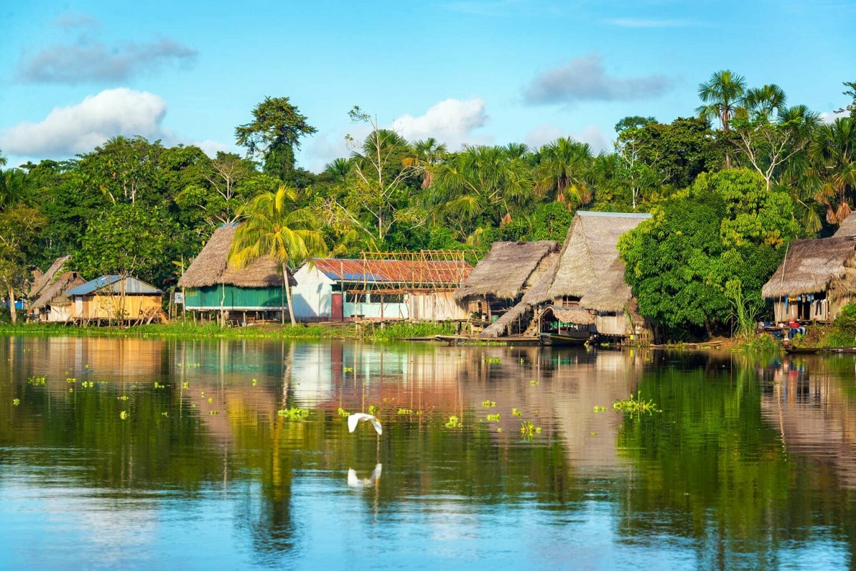 Amazon rainforest iquitos