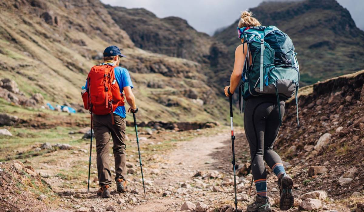 Amazon Rainforest Peru