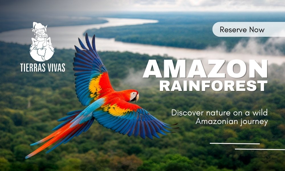 Amazon tours in peru