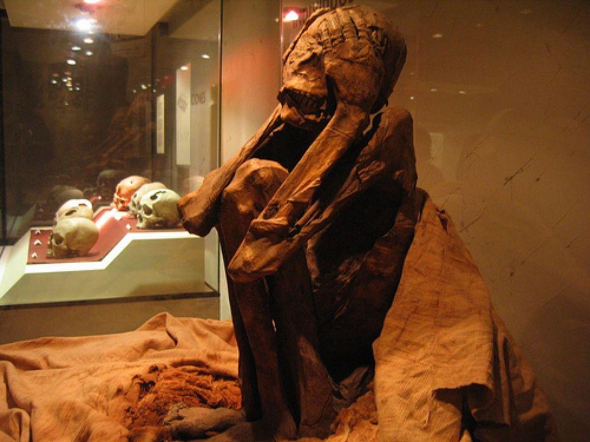 Andean Civilizations: Paracas Culture