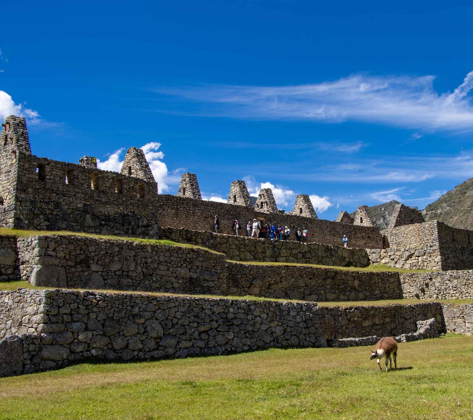 Best Cruises to Machu Picchu Tour