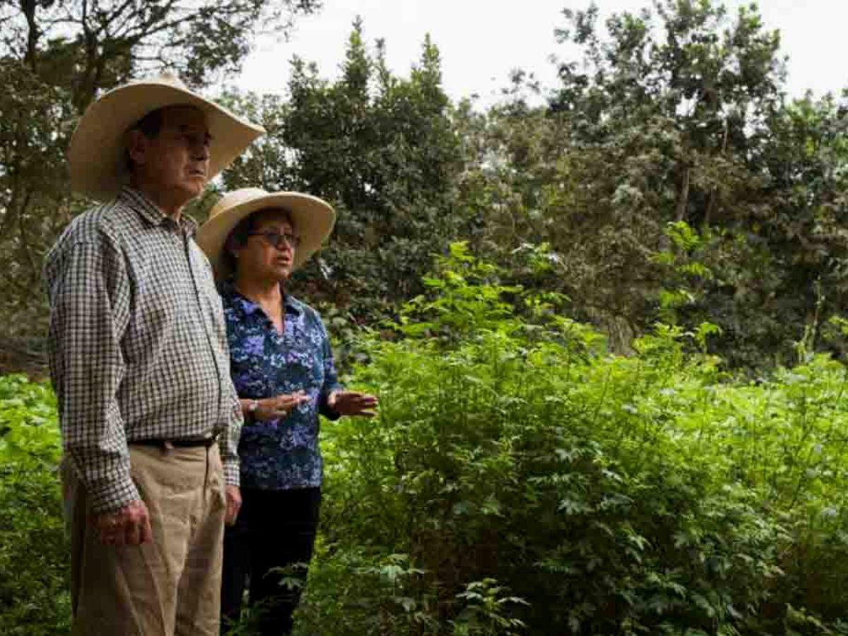 Bioagricultura Casa Blanca, a green refuge in Lima