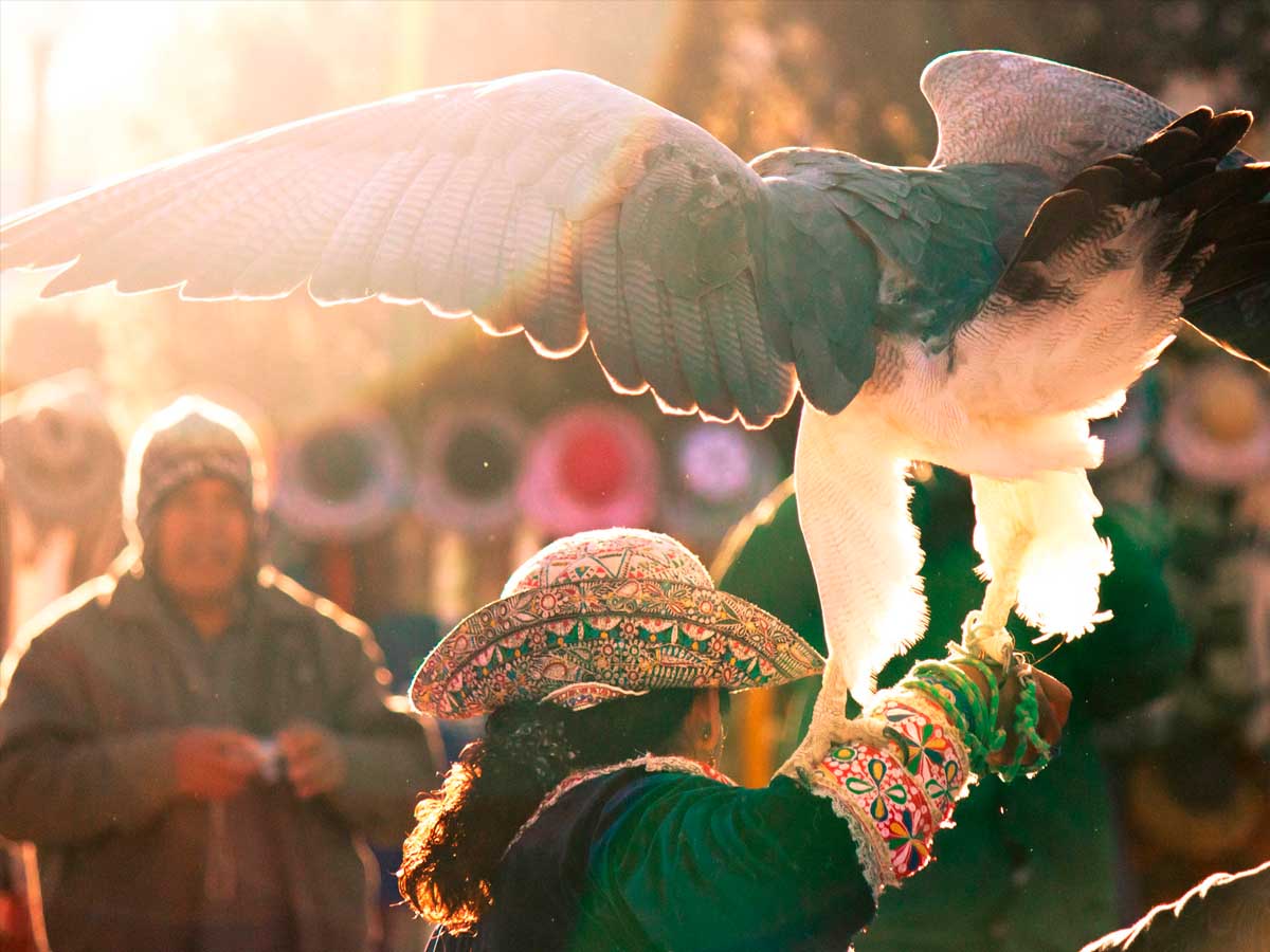 Colca Canyon | Tour Arequipa Colca Canyon