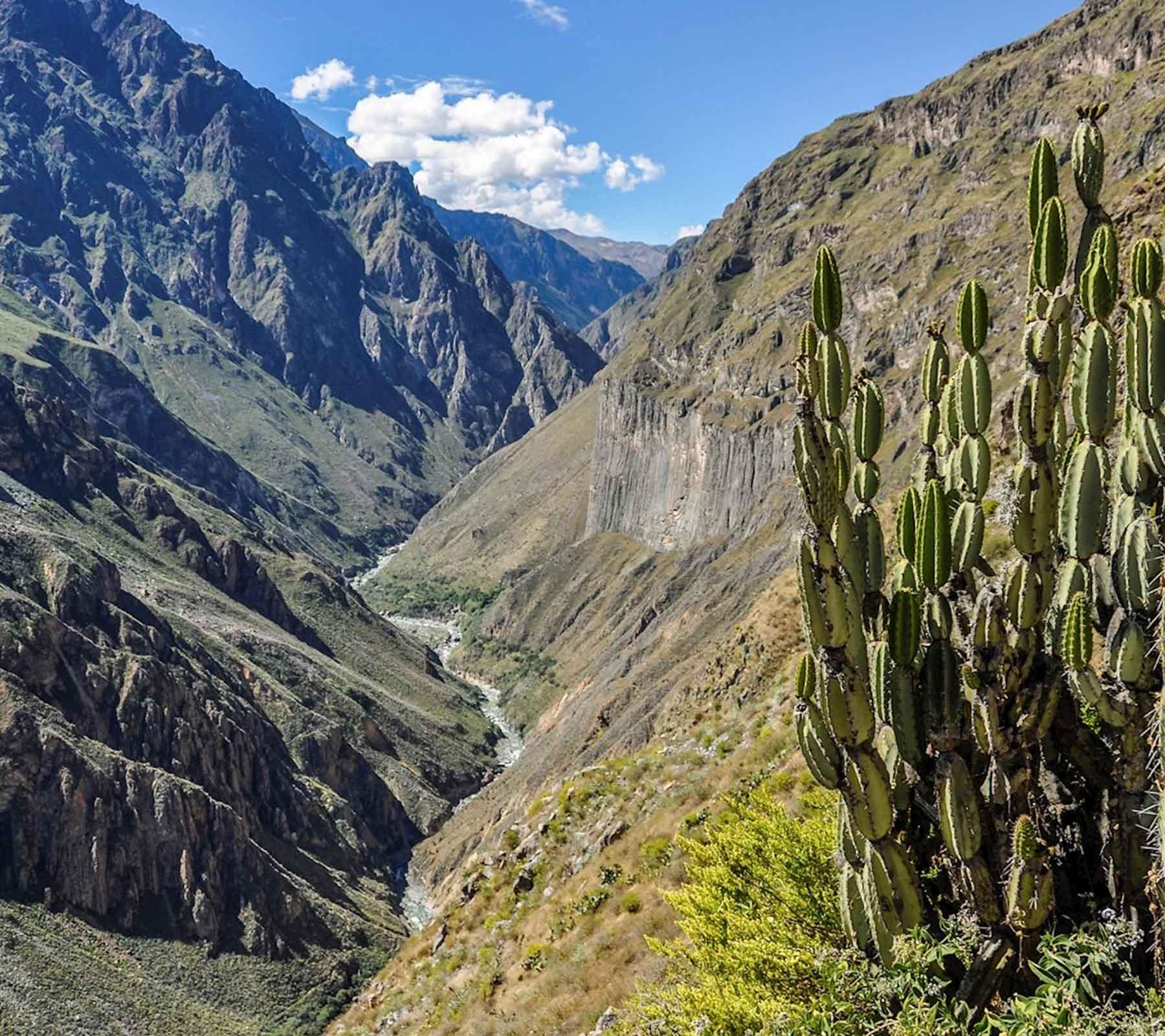 Colca Canyon Tours from Arequipa