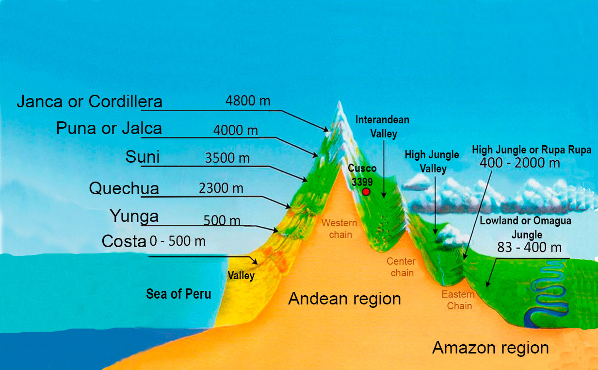 Cusco Elevation