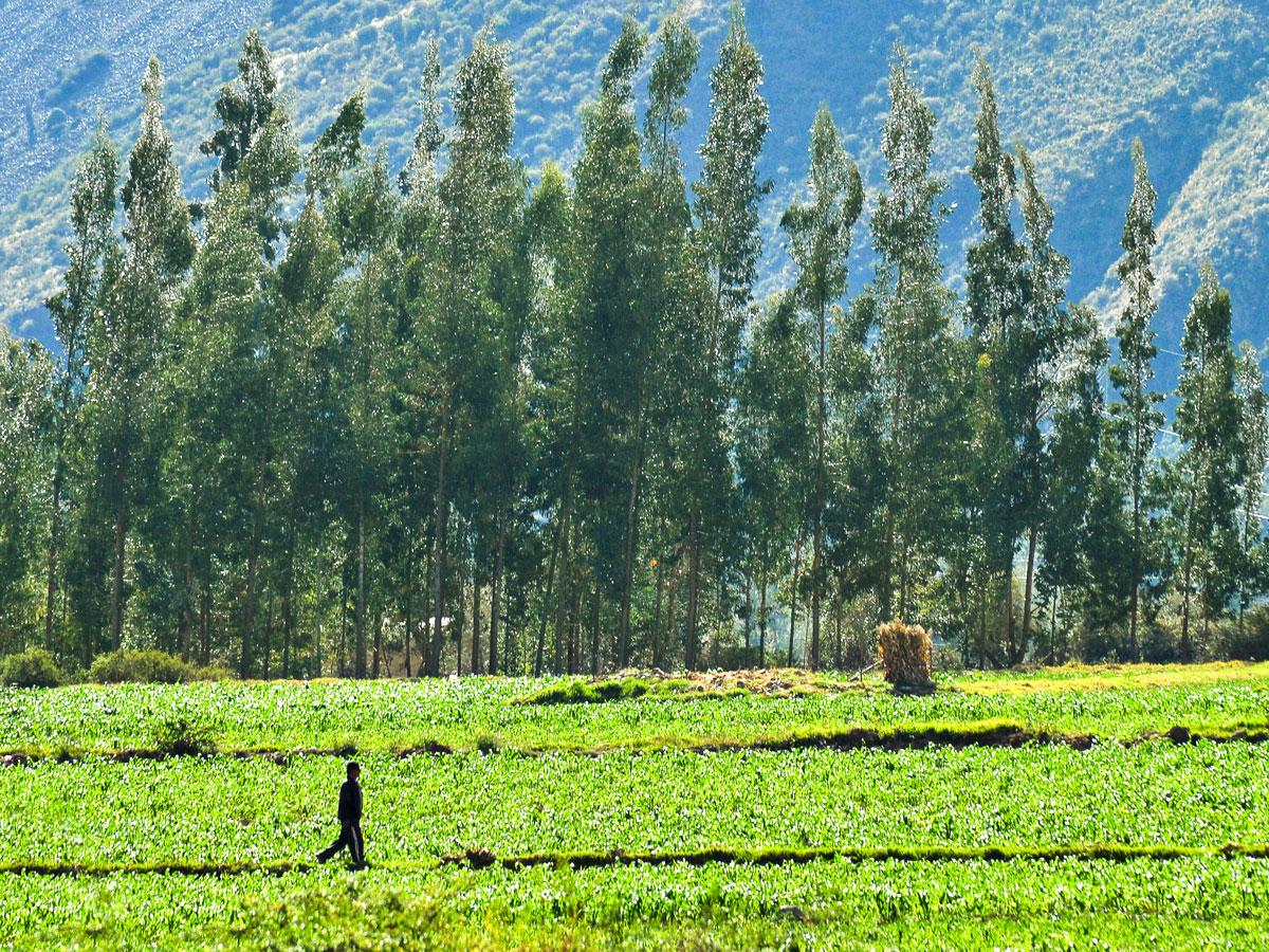 Cusco to Ollantaytambo