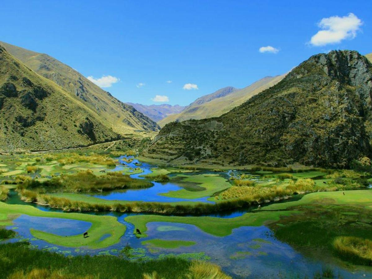 Forest of Love in Vilca, Huancaya