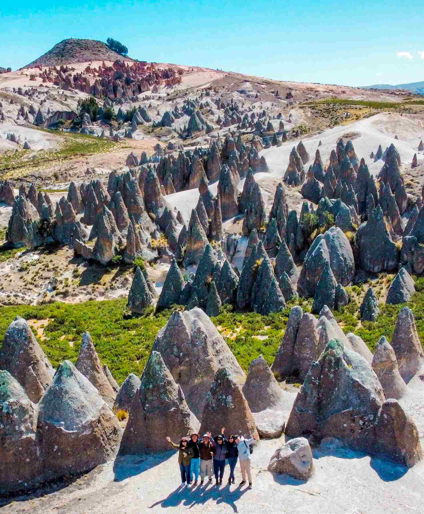 Forest of Pampachiri Apurimac