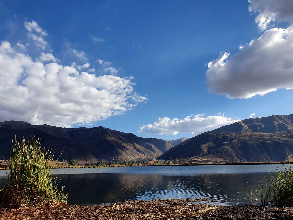 Huacarpay Lagoon: Mirrors of water and Andean biodiversity