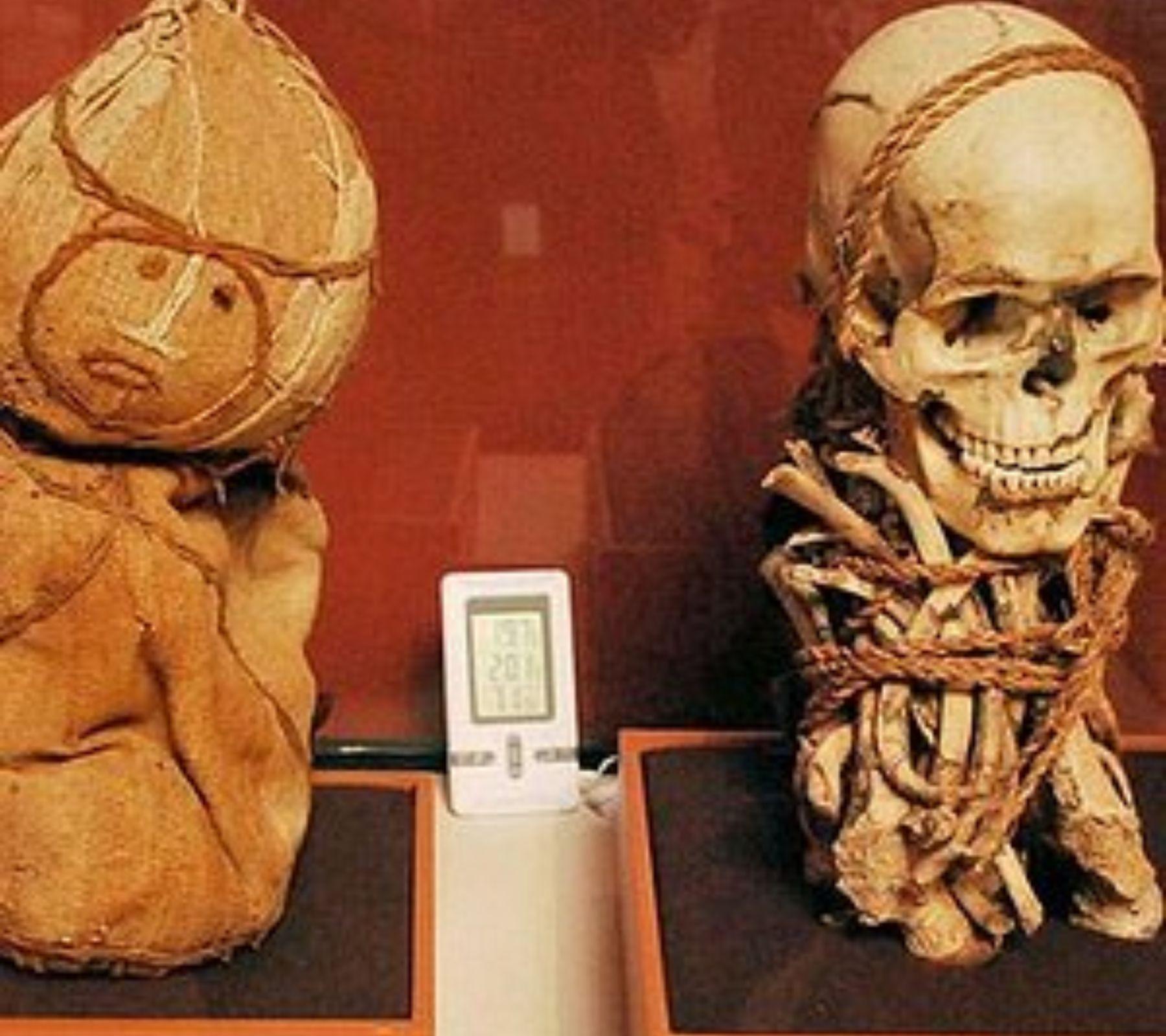 Inca Museum in Cusco