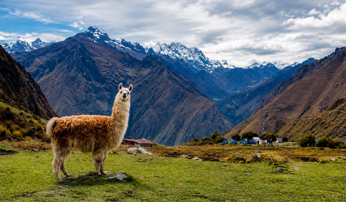 Inca Trail hiking tours