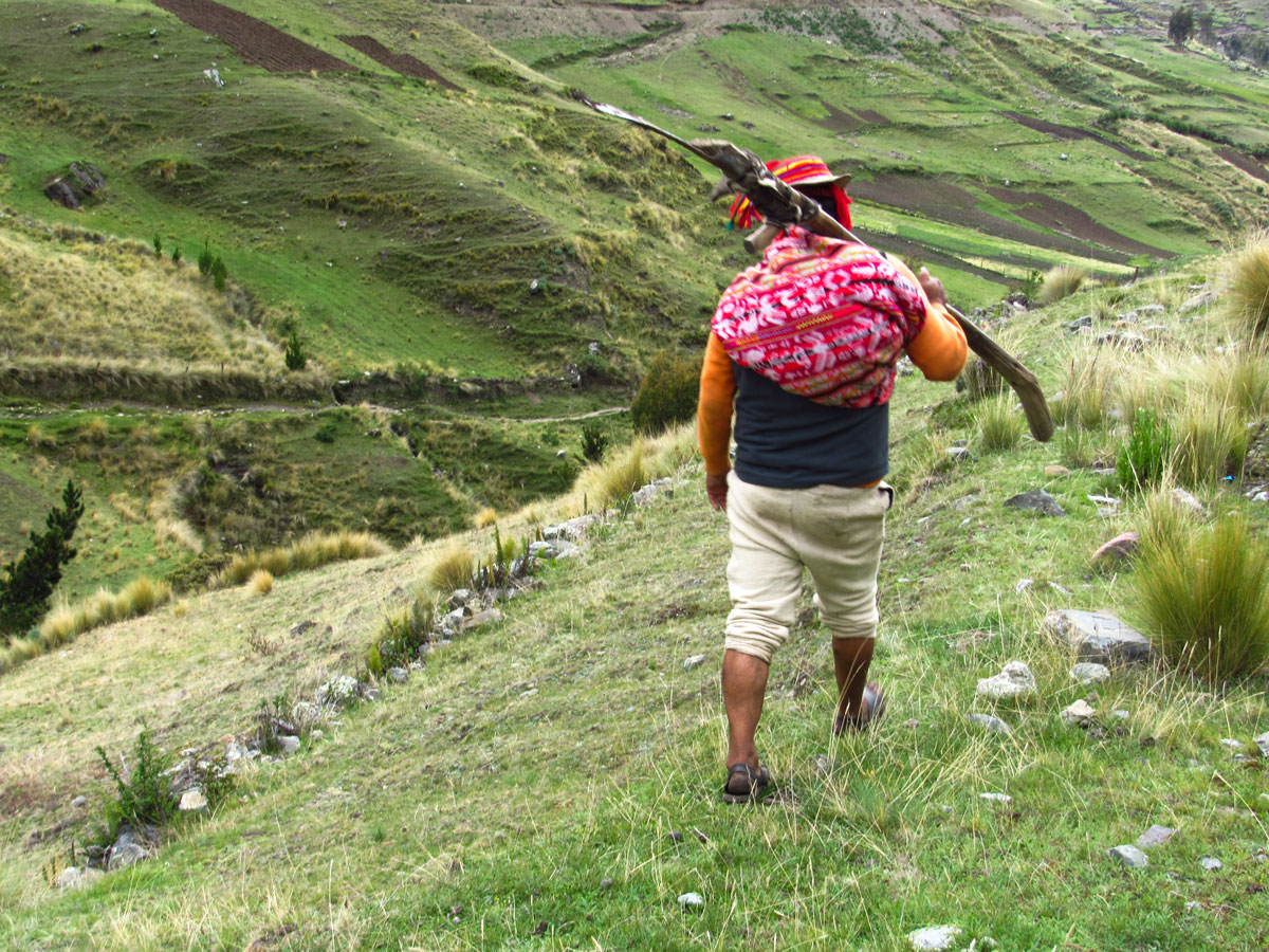 Lares trek elevation