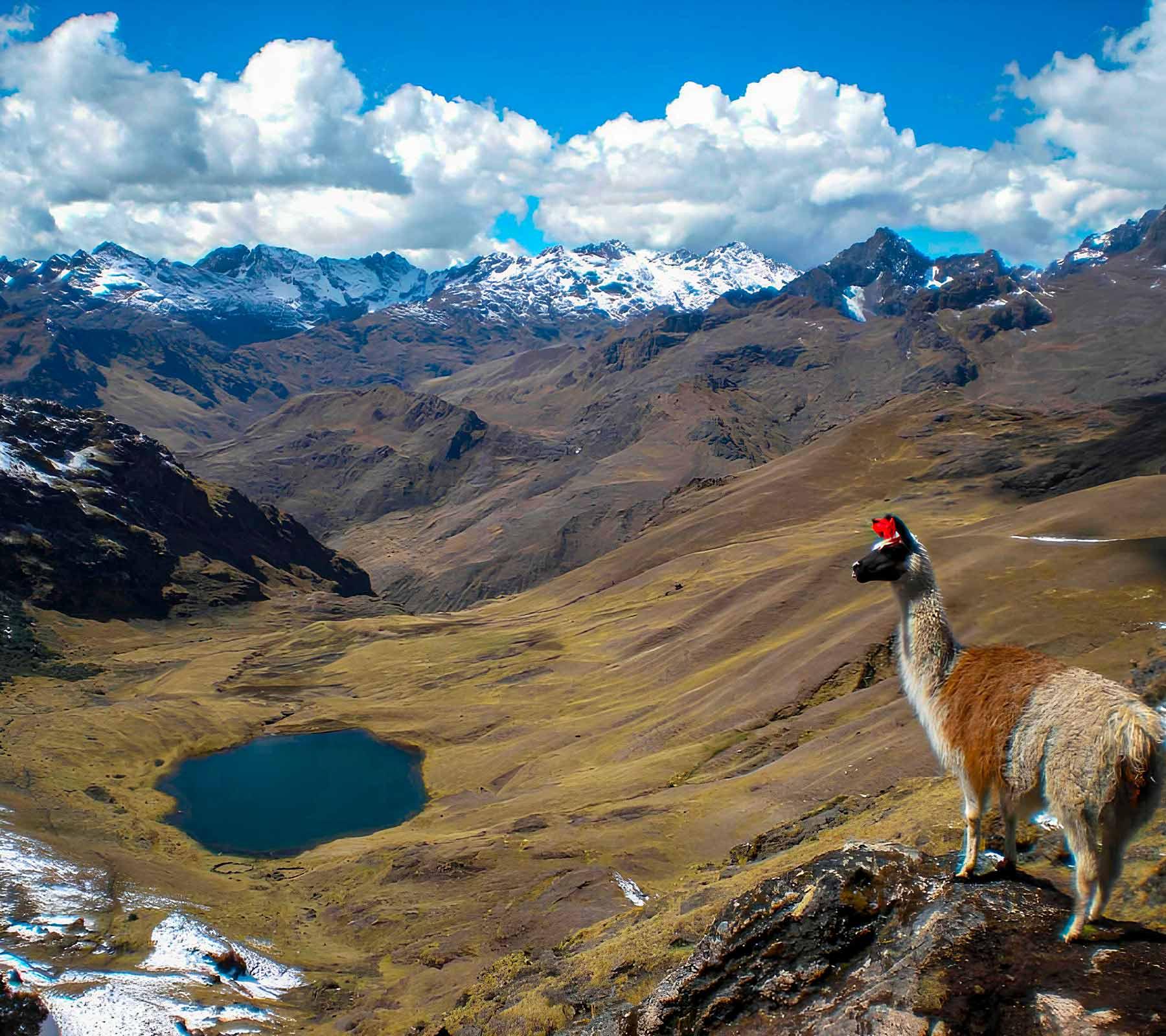 Lares trek or inca trail