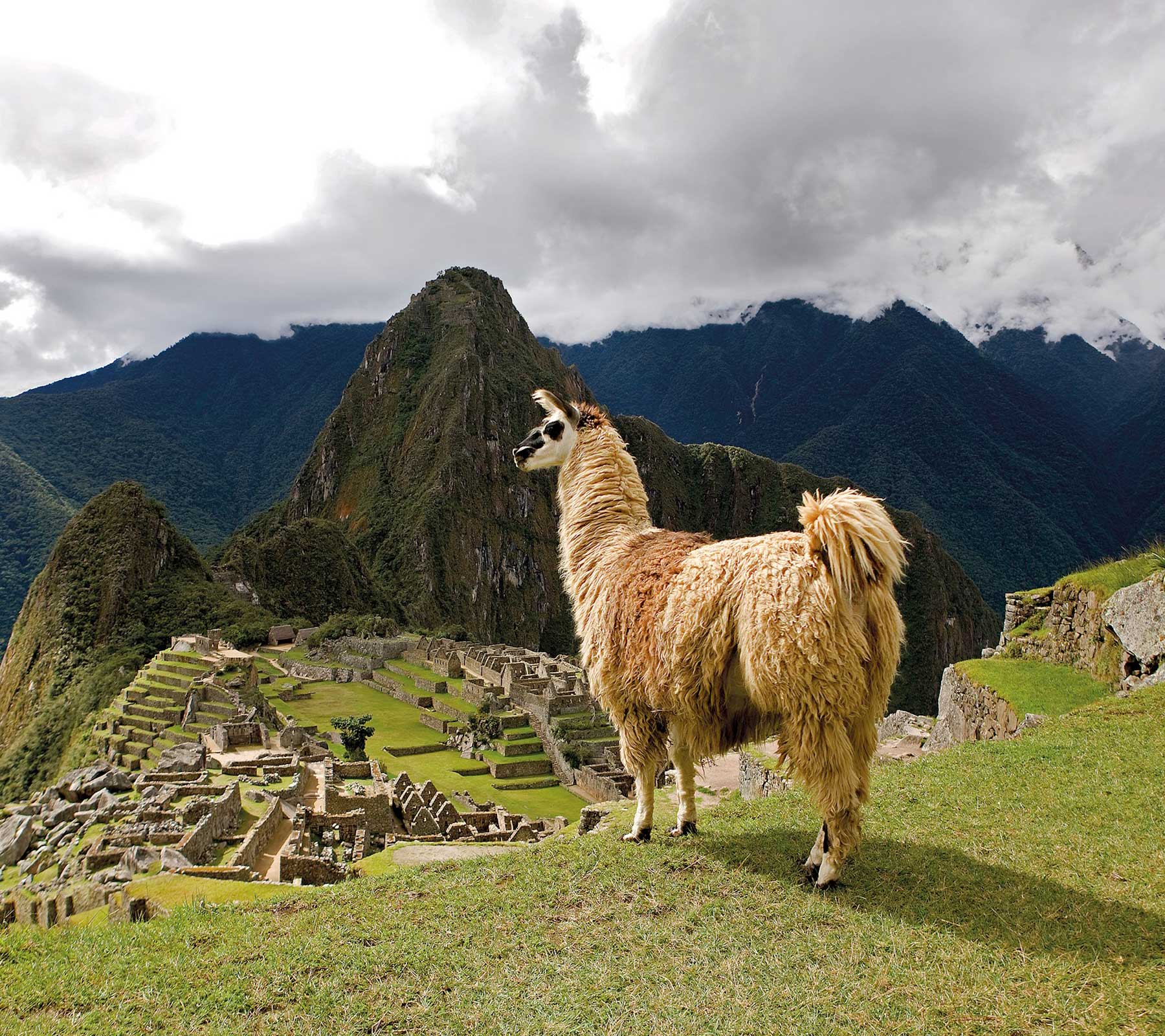 Machu Picchu