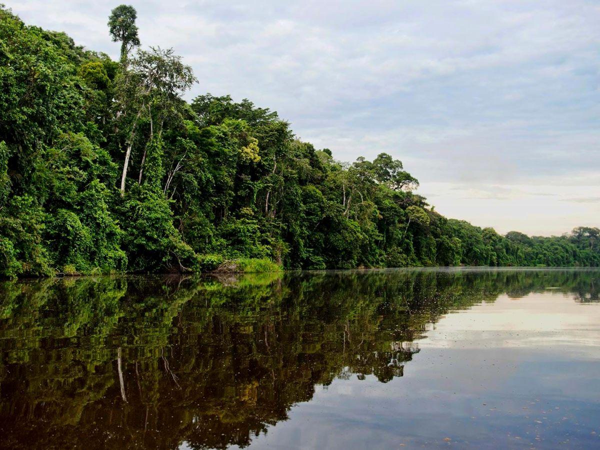 Madre de Dios: Where biodiversity is felt