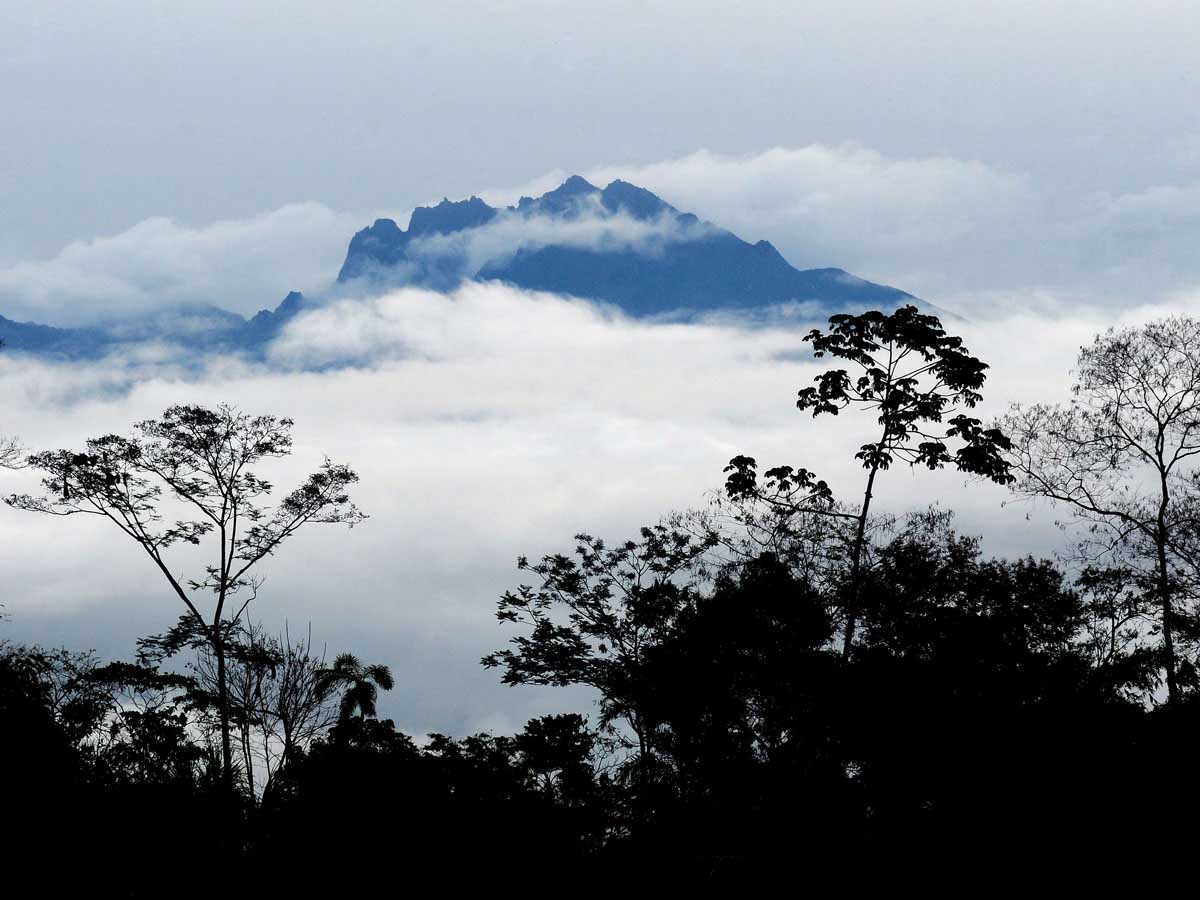 Manu Biosphere Reserve Peru