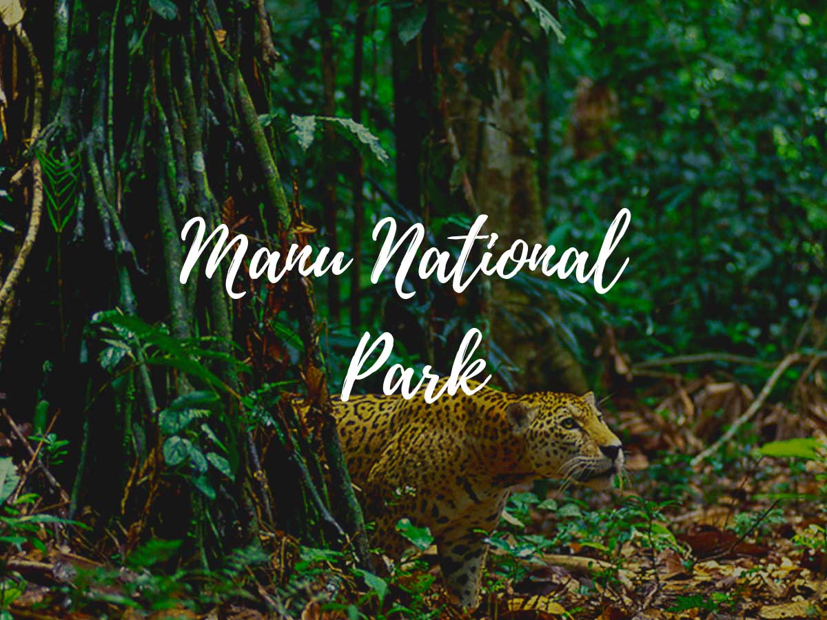 Manu National Park
