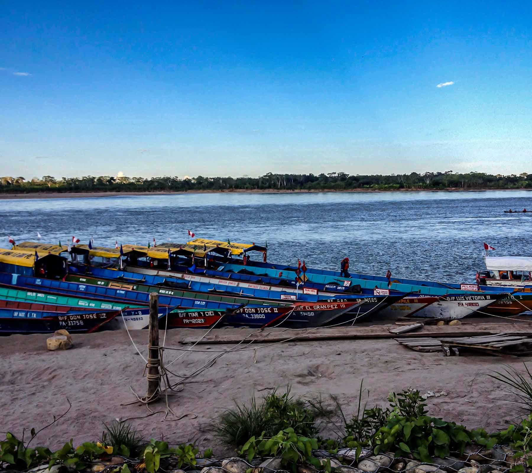 Manu Peru Amazon