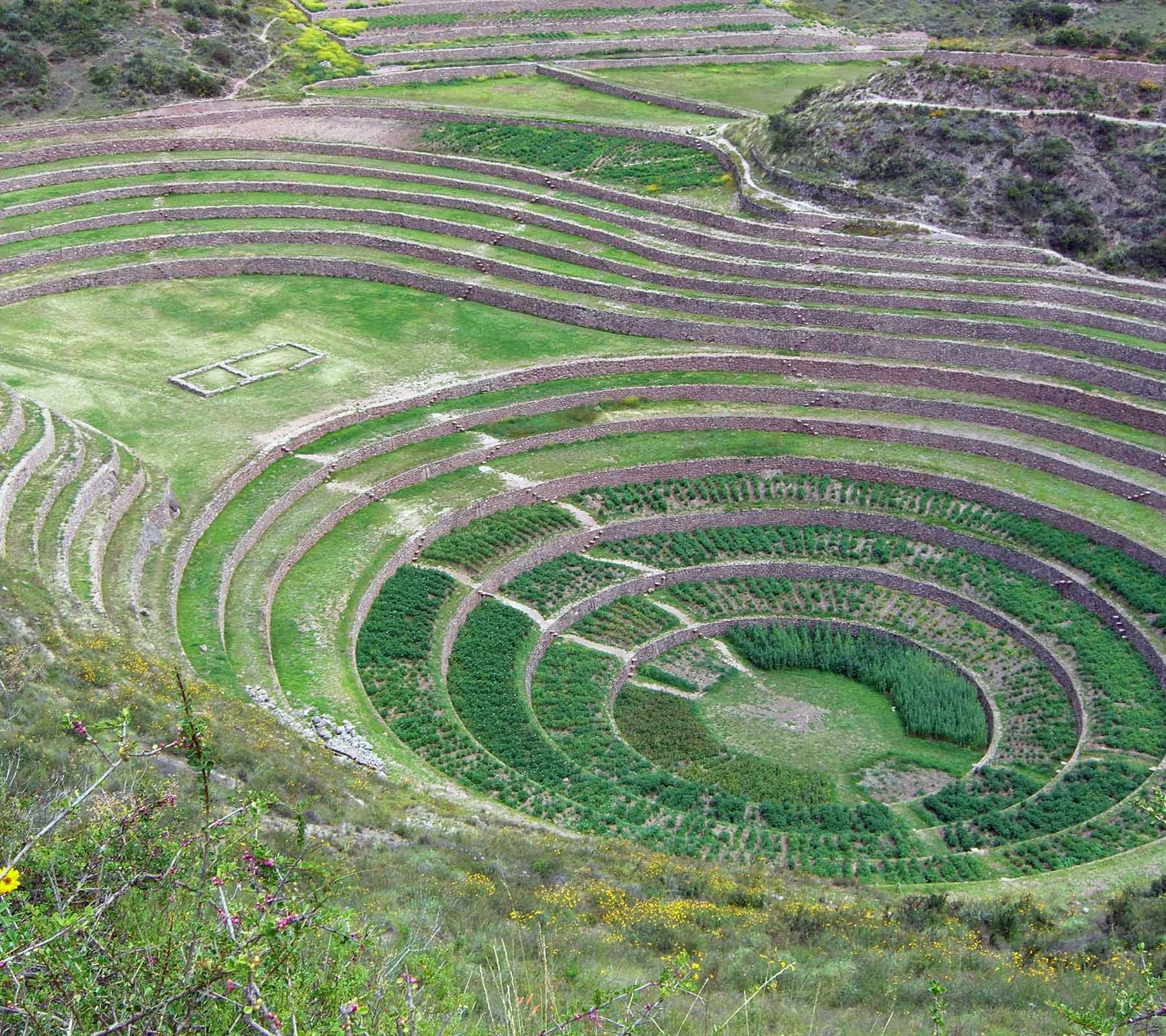 Maras Moray & Salt Mines Tour