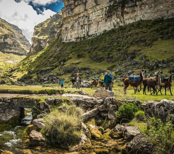 20 day Peru Tour: Lima, Nazca, Colca Canyon, Lake Titicaca, Inca Trail, Amazon