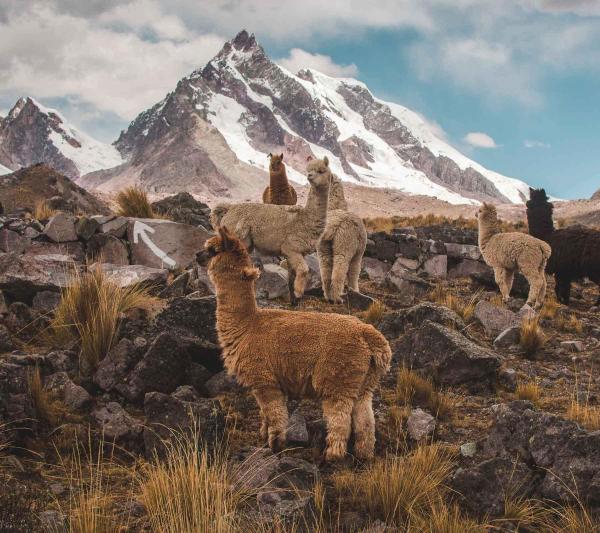 Ausangate Peru Rainbow Mountain