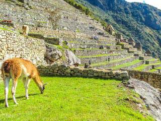 best-time-of-year-for-machu-picchu