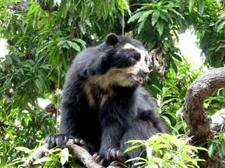 Chaparri Ecological Reserve | Lambayeque Tourism