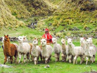 Day 01: Cusco - Ollantaytambo - Community of Rumira Sondormayo