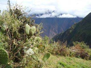Day 06: Totora - Collpapampa - Winaypoco