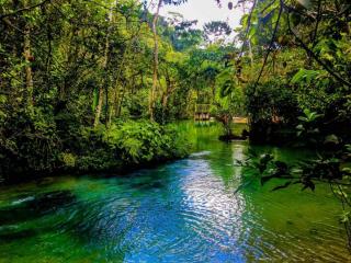 alto-mayo-protected-forest-peru