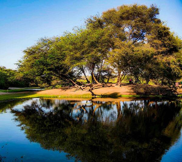El Ca�oncillo Natural Forest