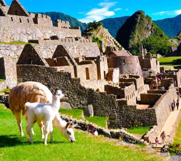 How much does it cost to travel to Cusco in 2026?