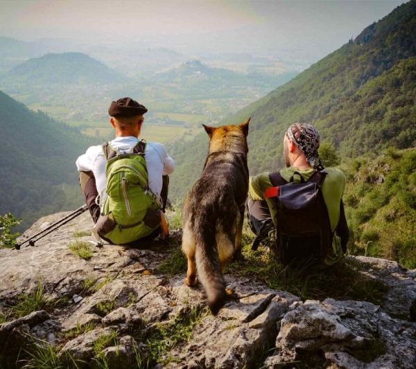 How to Travel Through Peru with Your Pet: Complete Guide 2026/2027