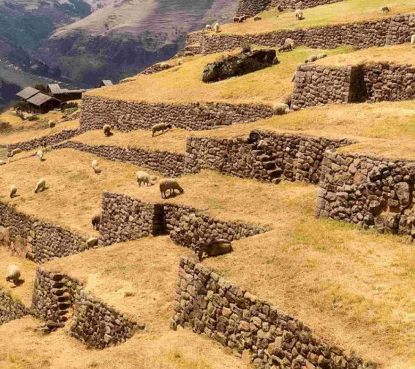 Huchuy Qosqo Day Hike
