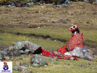 inca-trail-vs-lares-trail