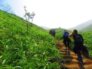 Lomas de Asia: a gift of nature to enjoy near Lima