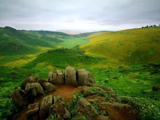 Lomas de Lachay, a wildlife refuge