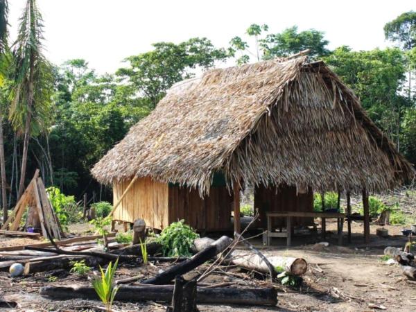 Mennonites in Peru: the hidden history of the delivery of forests in Masisea