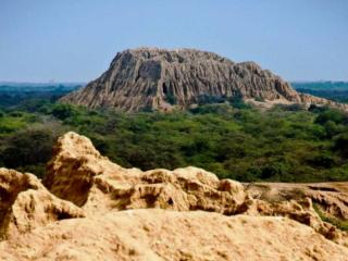Pomac Forest Historical Sanctuary: know the beauty of this protected natural area