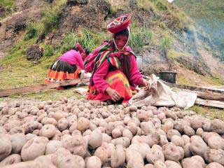 Sacred Valley and Machu Picchu tour
