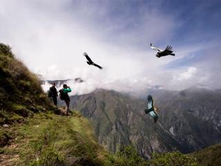 The condor viewpoint in Cusco