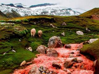 The unique red river of Cusco, Peru