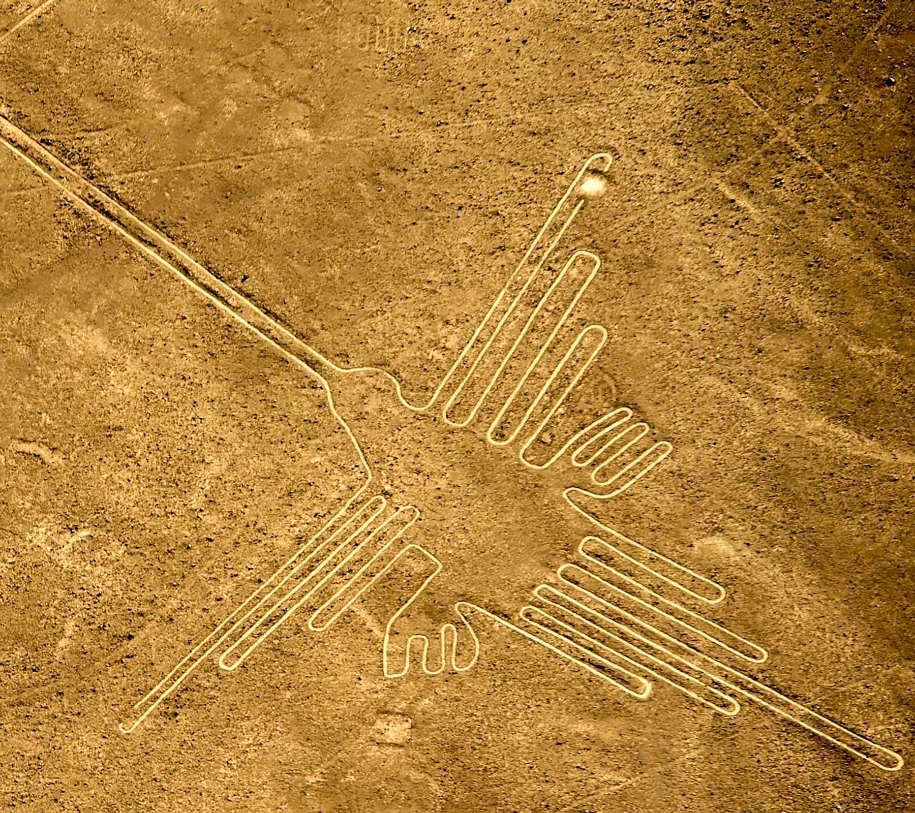 Nazca Lines tour from Lima: Ballestas Island and Overflight Nazca Lines