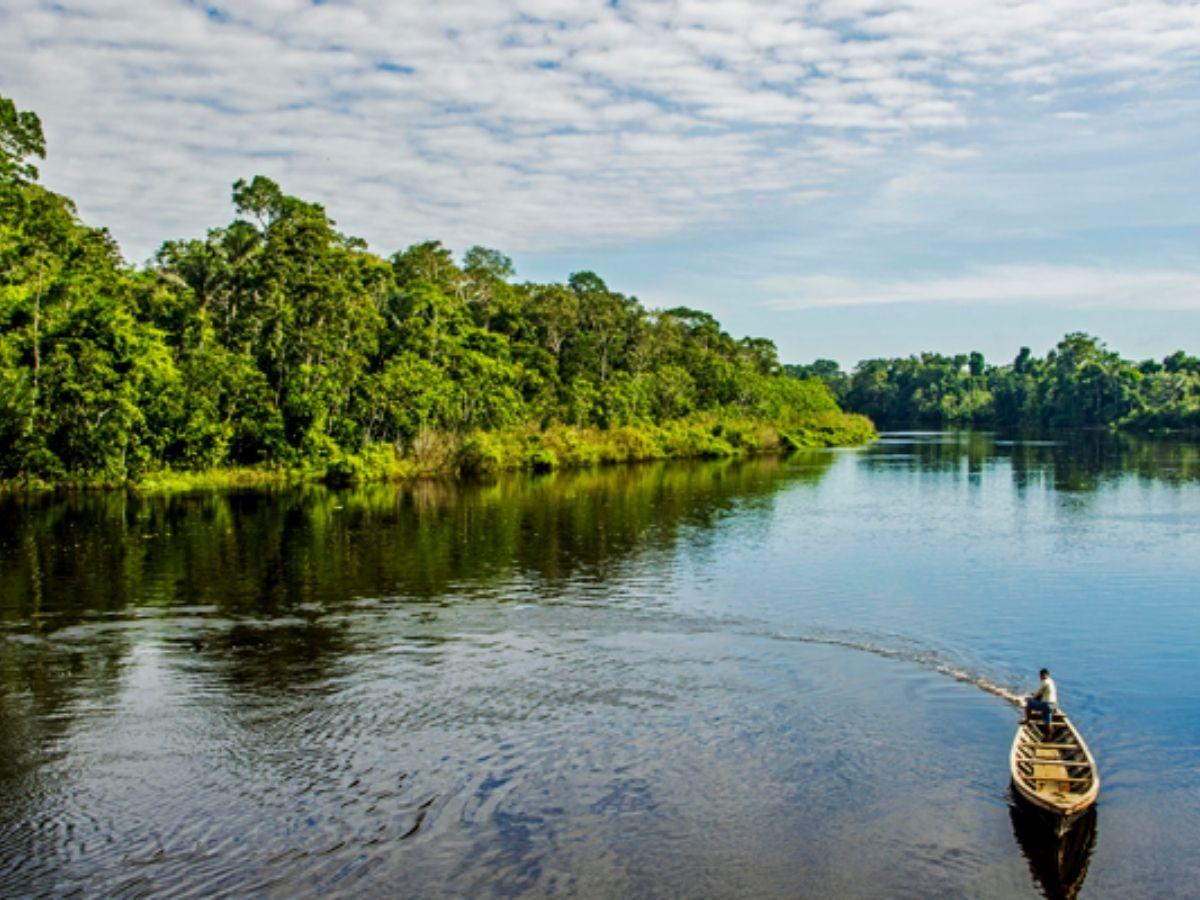 Pacaya Samiria National Reserve, the paradise of nature