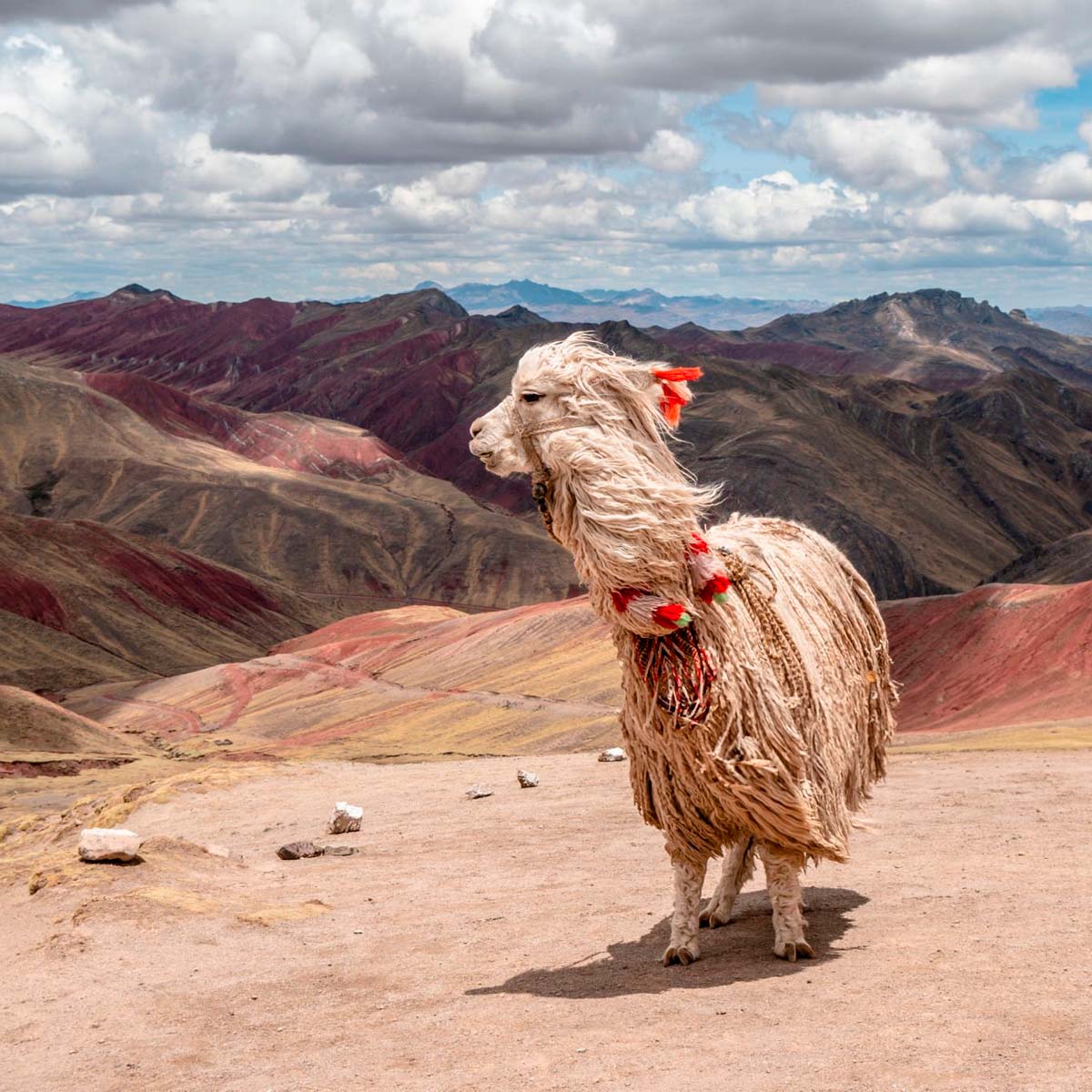 Palccoyo Rainbow Mountain