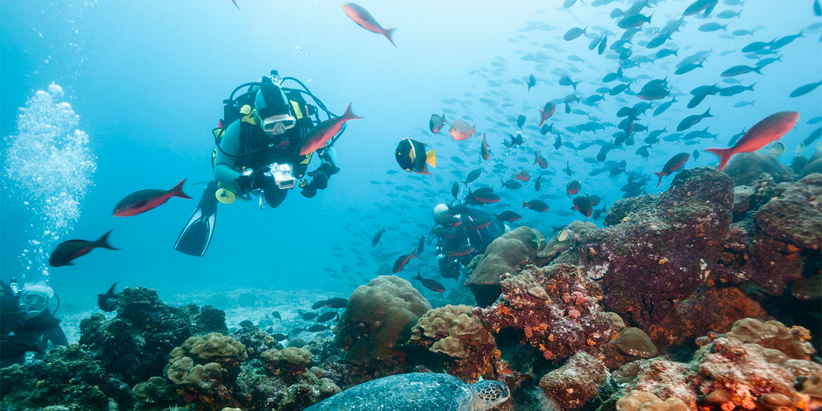 Palomino Islands Lima